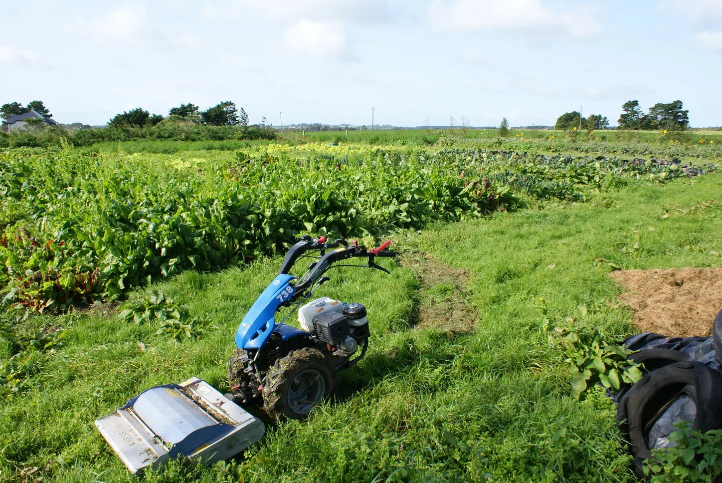 Deadline for Organic Farming Scheme 2023 applications is fast approaching