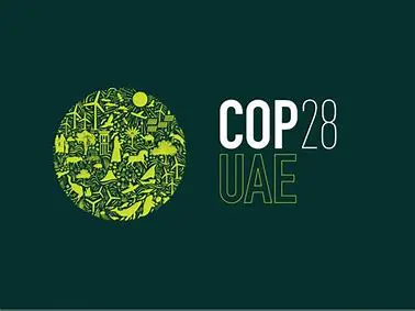 Irish Research on Greenhouse Gas Reduction Shared at COP28