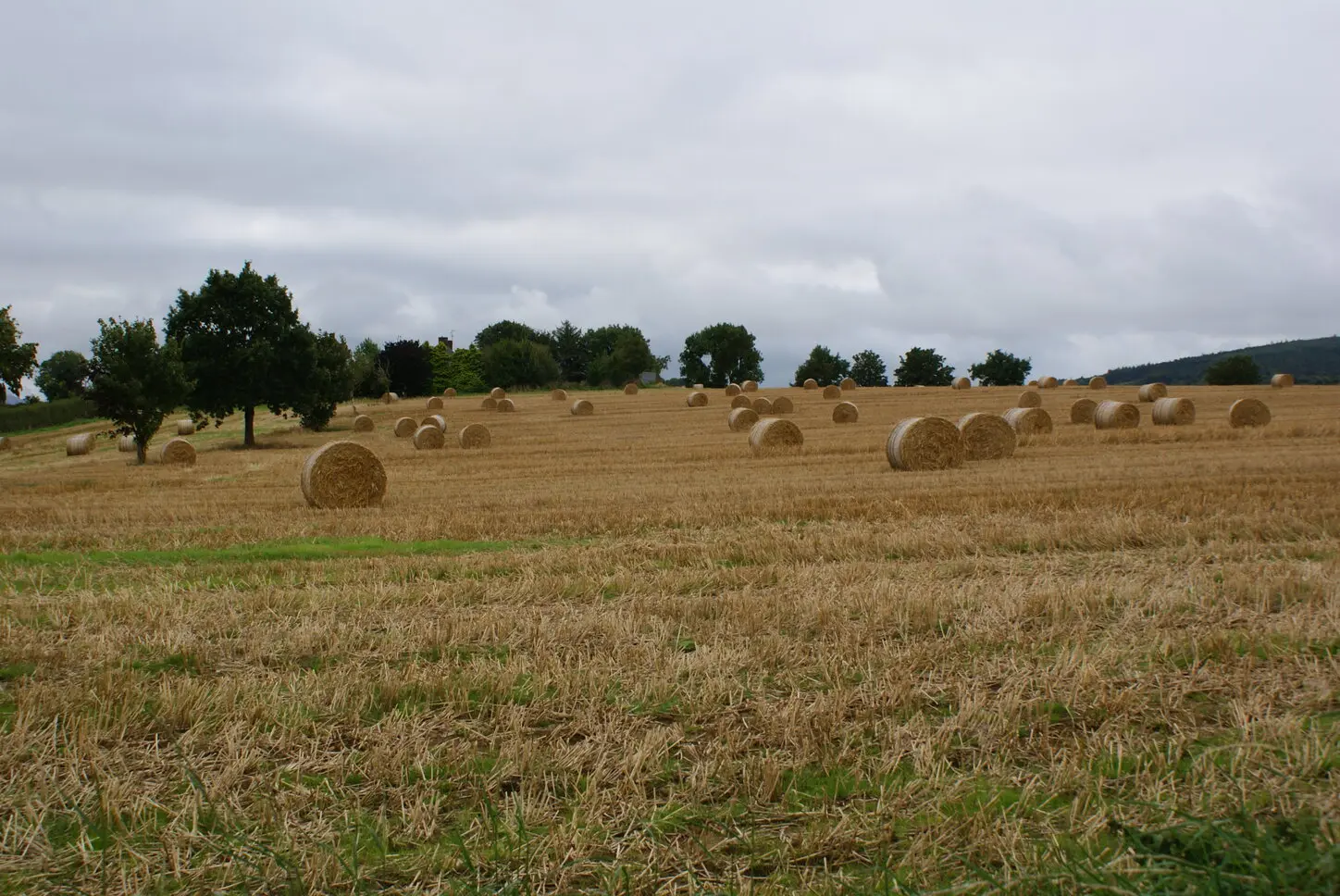 Two Payments Begin for the Tillage Sector