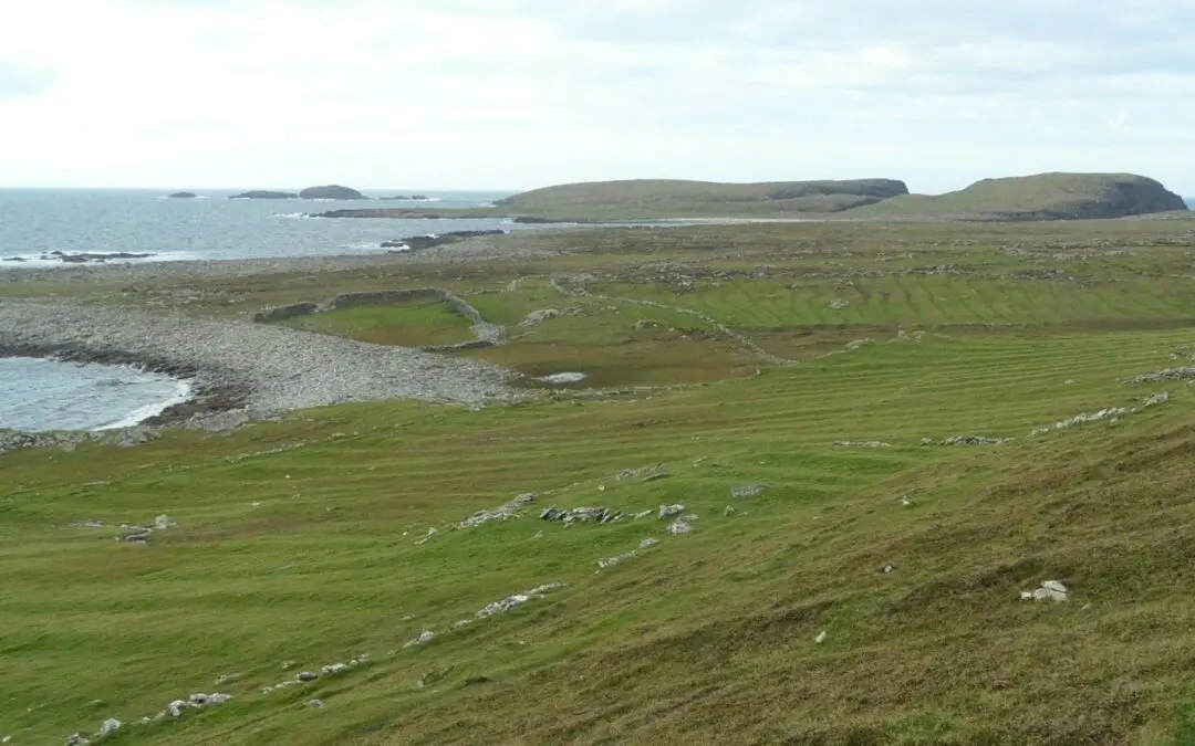 ACRES West Connacht Cooperation Summer Bursary Scholarship Scheme 2024
