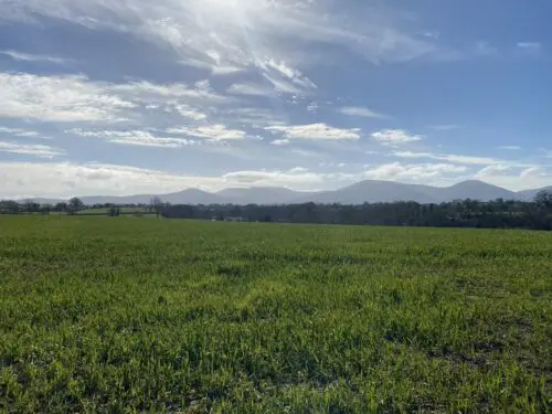 Irish Organic Sector Continues to Grow