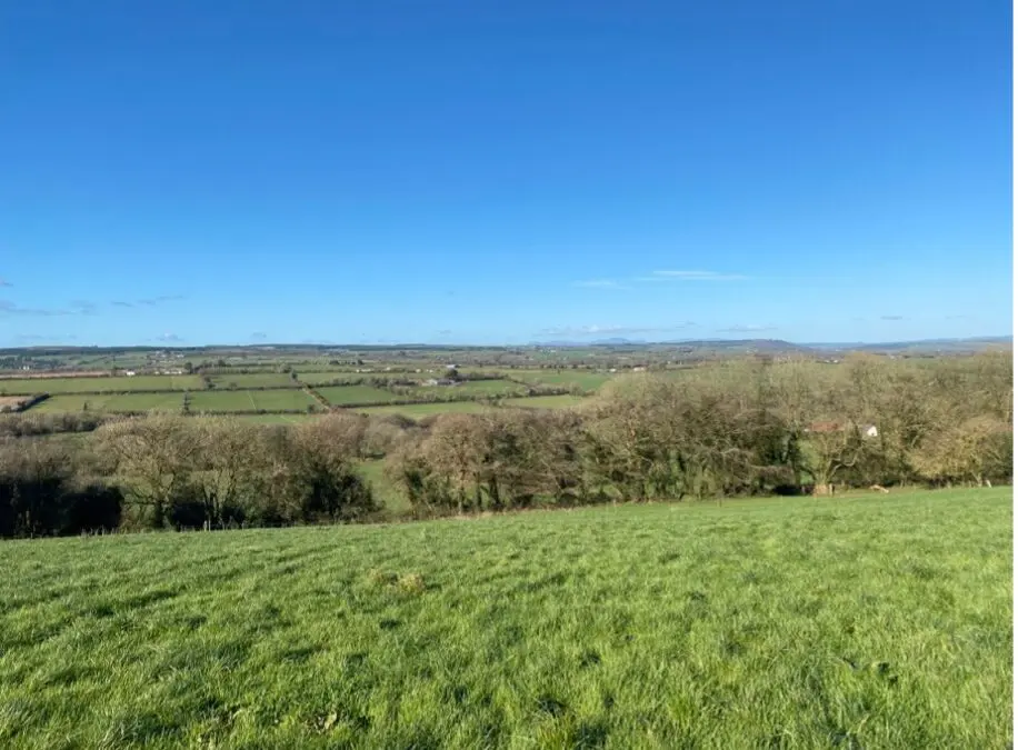 ACRES Hedgerow And Tree Planting Extended Until March 2025