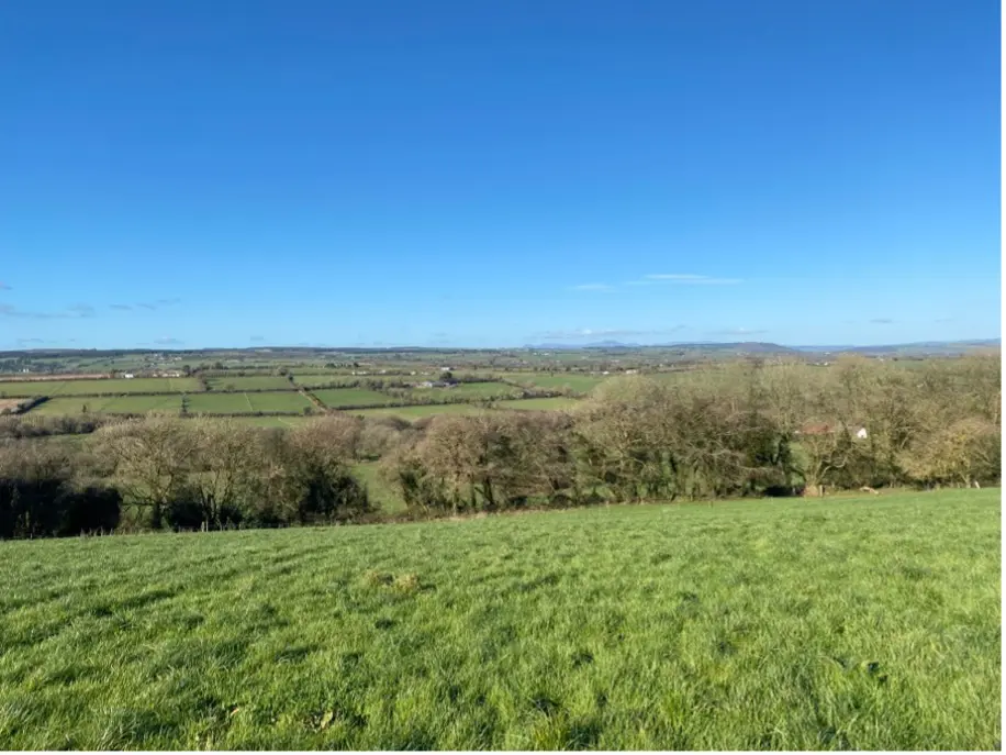 ACRES Extended For Planting Hedgerows And Trees Until March 2025 Approvals to farmers participating in Tranche 2 of the ACRES has begun