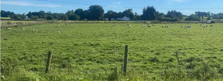 €15 million budget for National Sheep Welfare Scheme Announced
