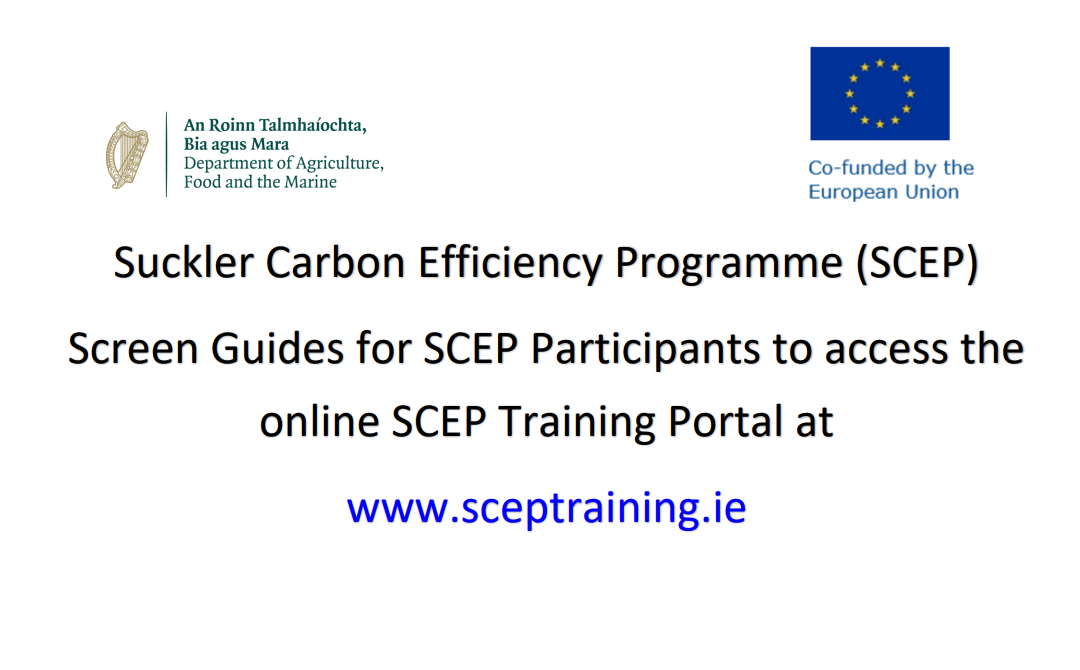 SCEP Screen Guides
