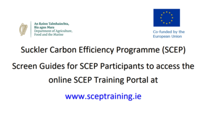 SCEP Screen Guides