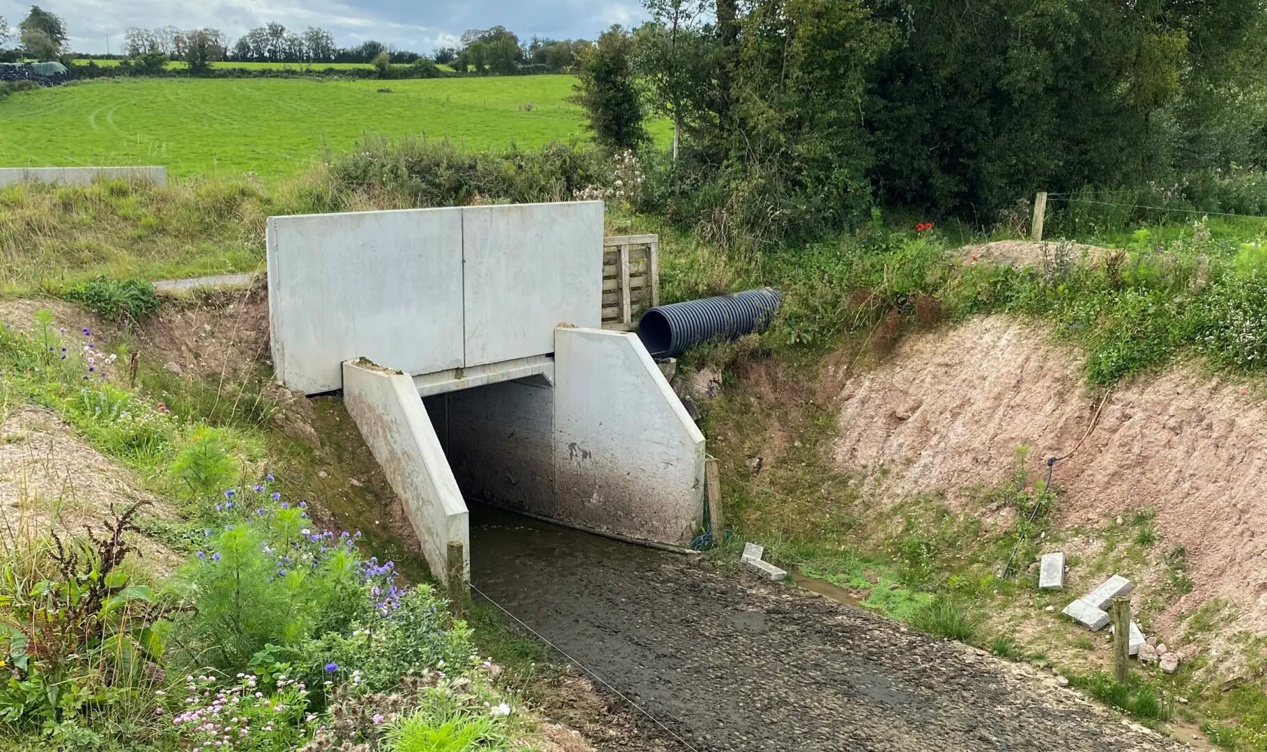CAPN Website_Case Studies_Jack Kearney_Jack Kearney Underpass 1