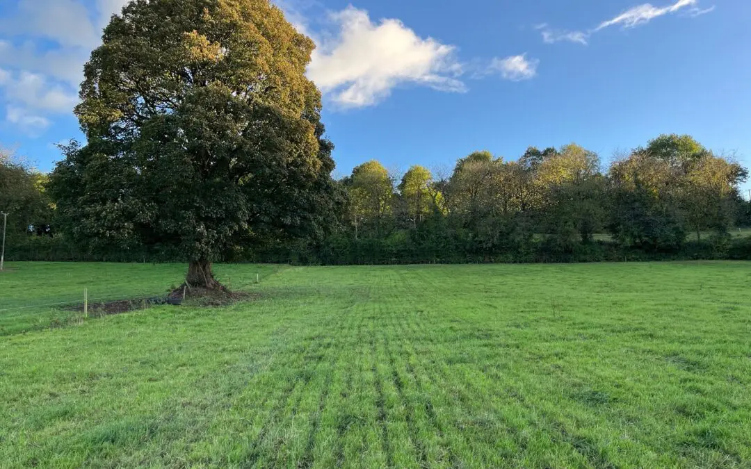 Increased Funding in Budget 2025 for Agri-schemes