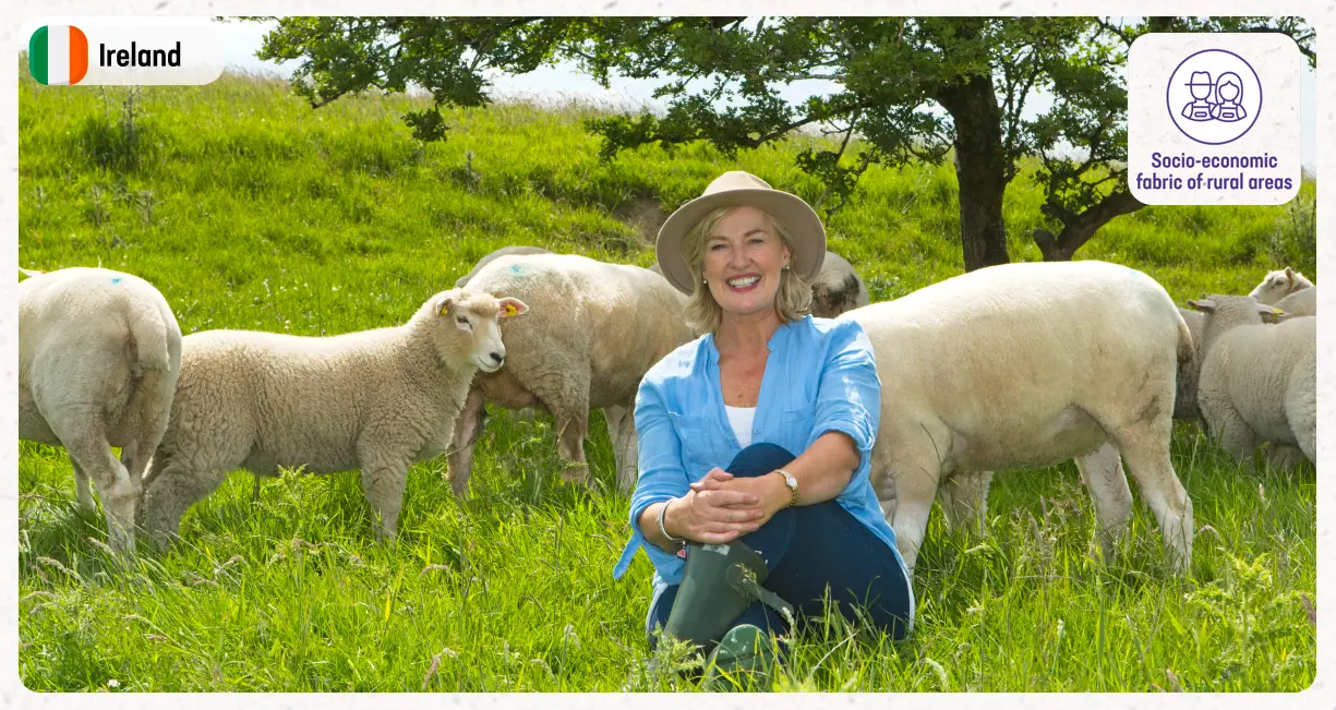 Galway Wool Co-op