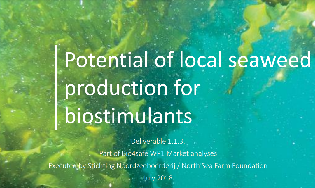Potential of EU Seaweeds for Application in the Biostimulant Market