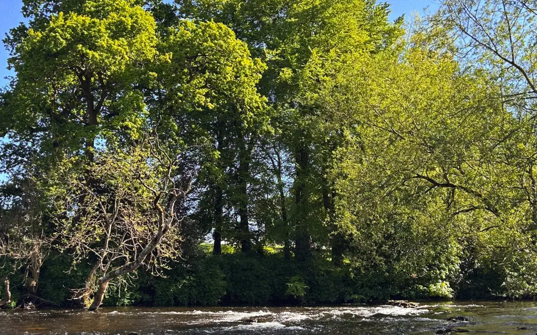 Help Shape EU Climate Policy
