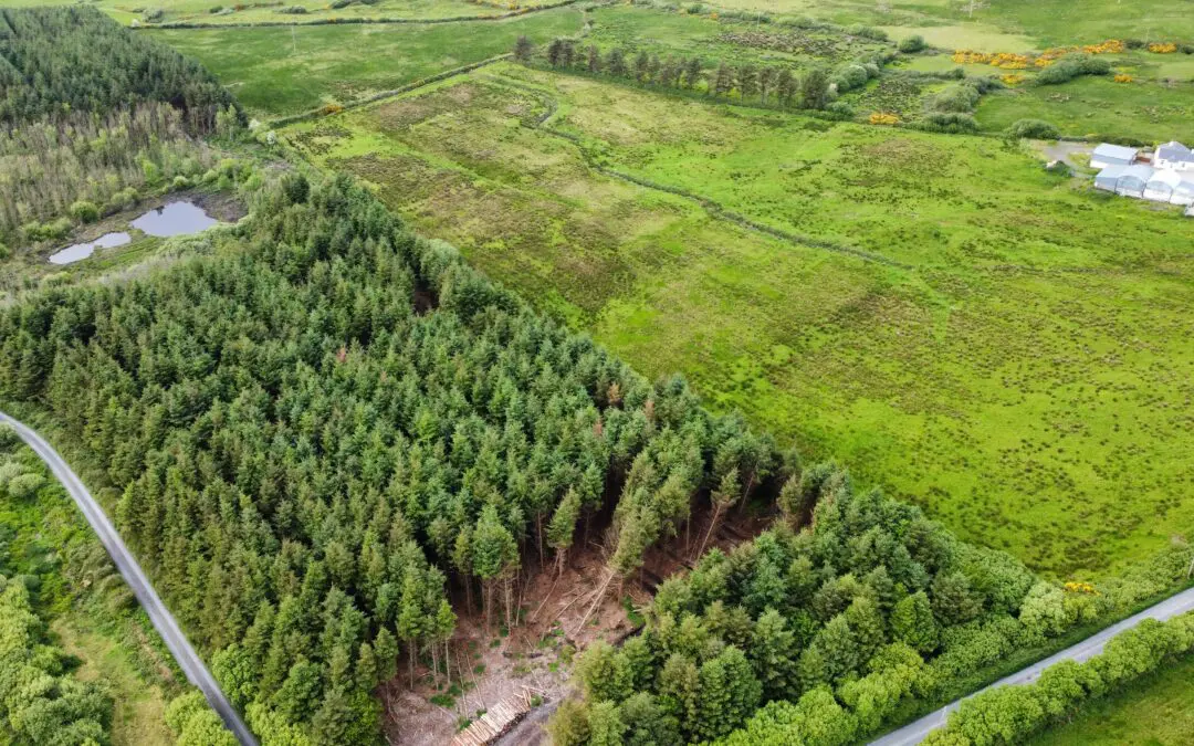€1.5m Forestry Promotion Funding Announced