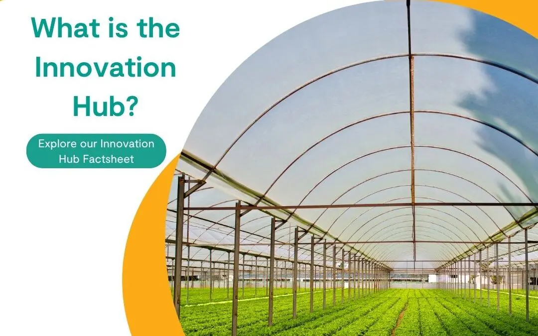 What is the Innovation Hub?