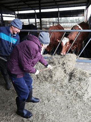 Financial Support for Social Farming to Continue