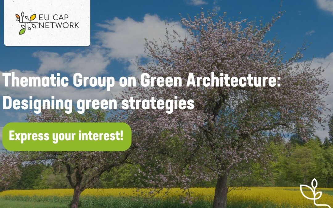 Thematic Group on Green Architecture: Designing Green Strategies