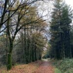 Native Woodland Conservation Scheme