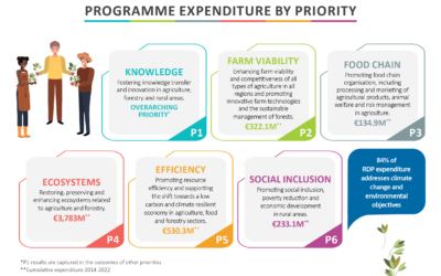 Programme Expenditure Infographic