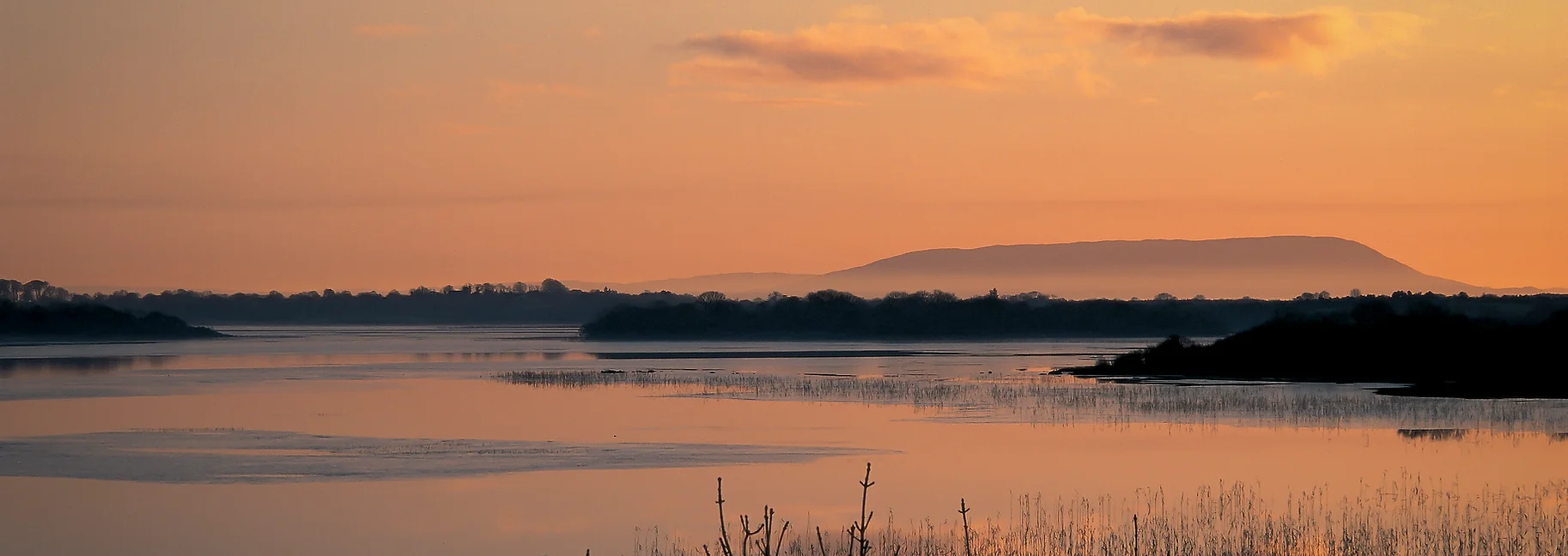 Lough Carra LIFE Project