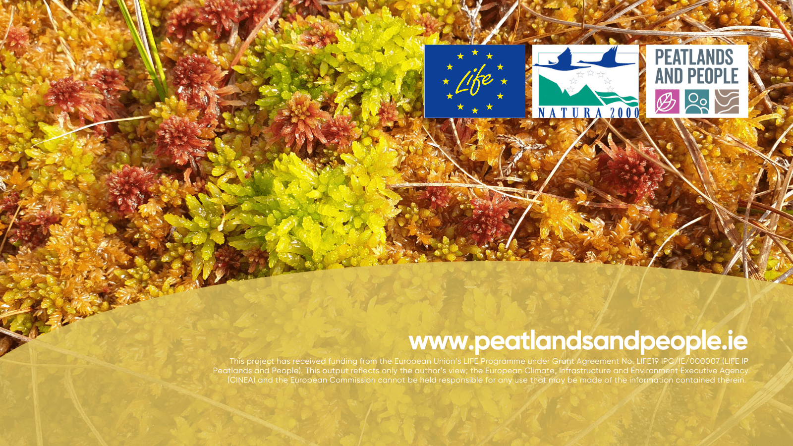 peatlands and people