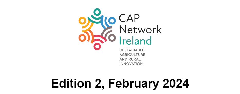 CAP Network E-Bulletin February 2024