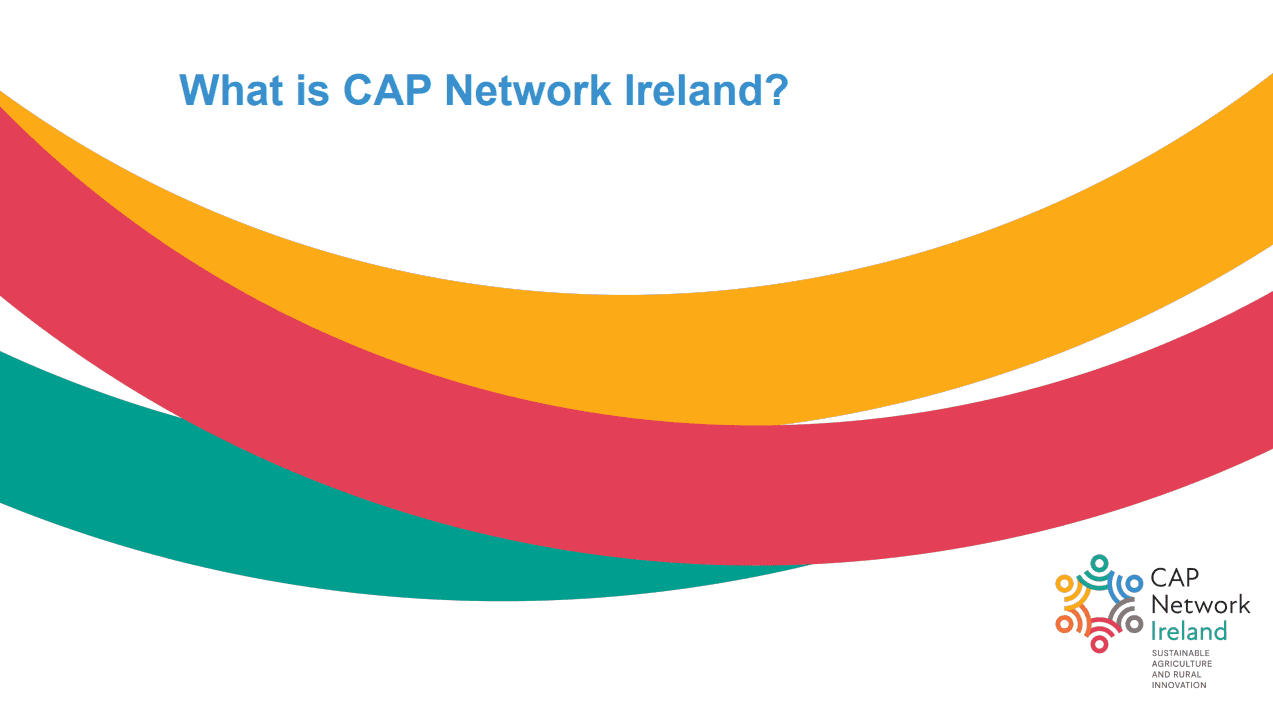 What is CAP Network Ireland?