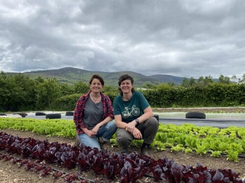 Demonstrating The Value of Small-Scale Food Production