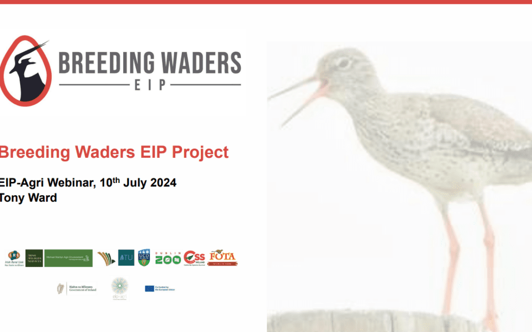 Breeding Waders EIP – Tips & Advice