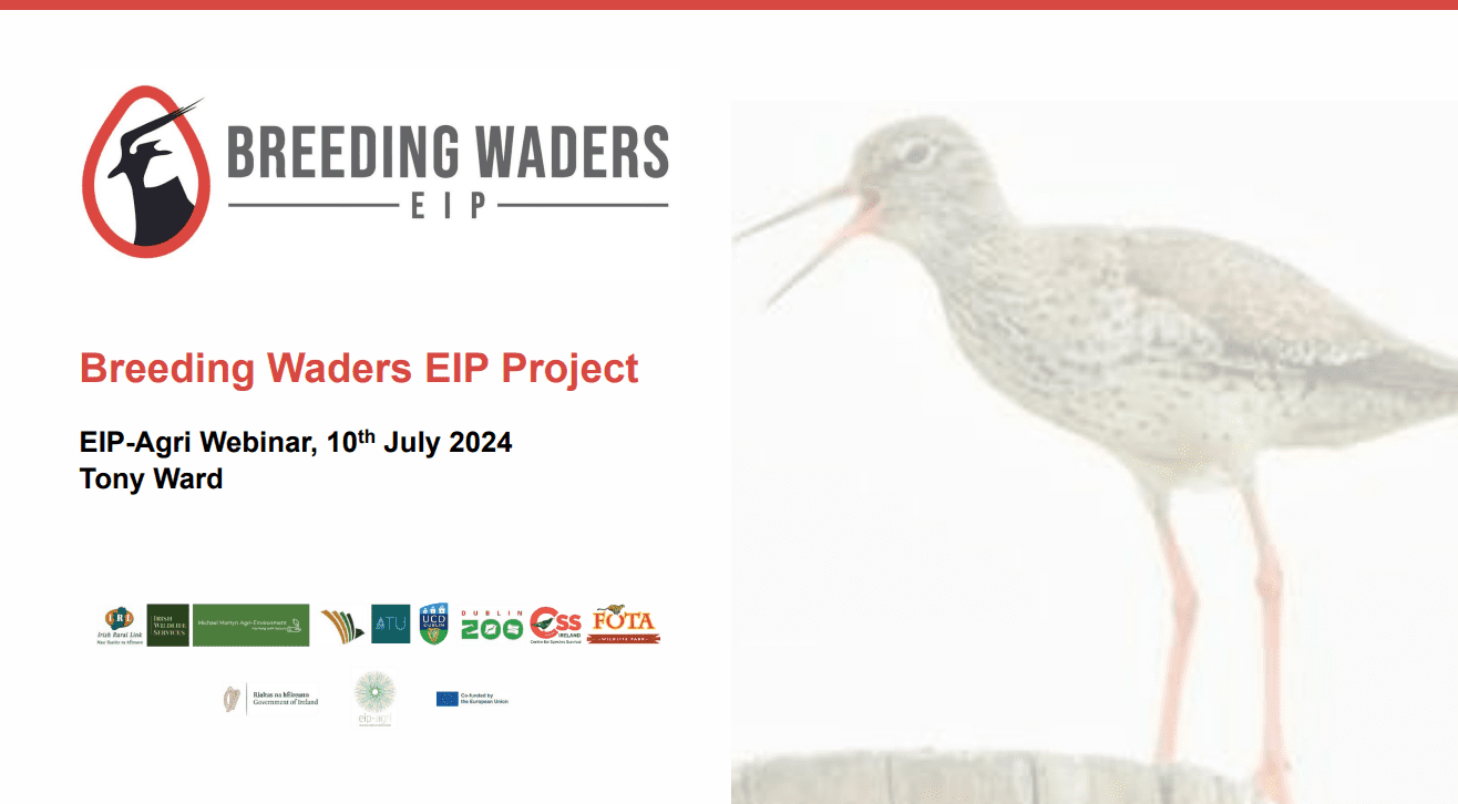 Breeding Waders EIP Tips