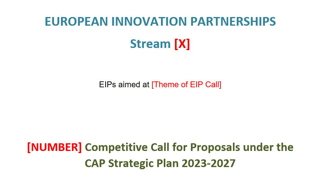 EIP Guidelines For Open Call Phase 2