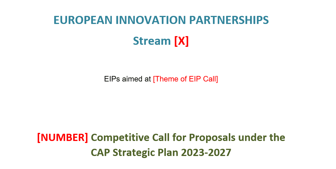 EIP Guidelines For Open Call Phase 2