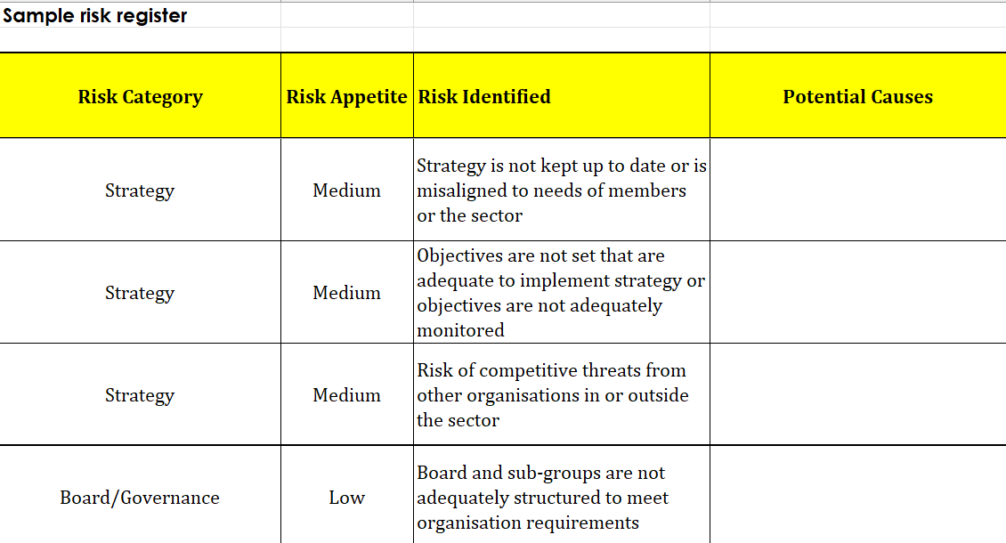 Risk Management Assessment