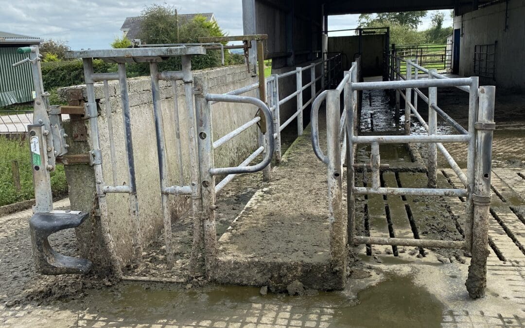 TAMS 3 – Farm Safety Scheme
