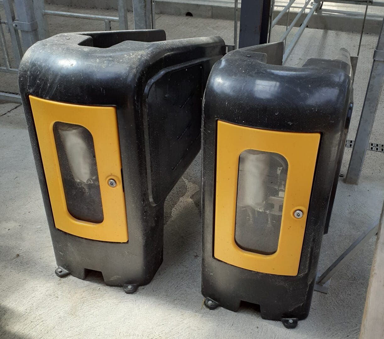 TAMS 3 – Dairy Calf to Beef