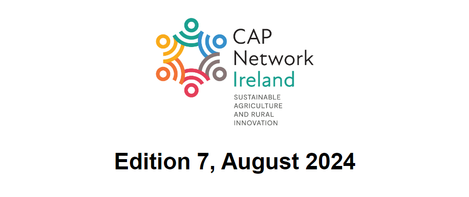 CAP Network E-Bulletin August 2024