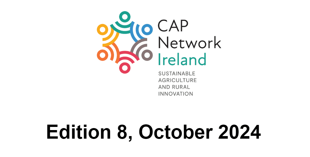 CAP Network E-Bulletin October 2024