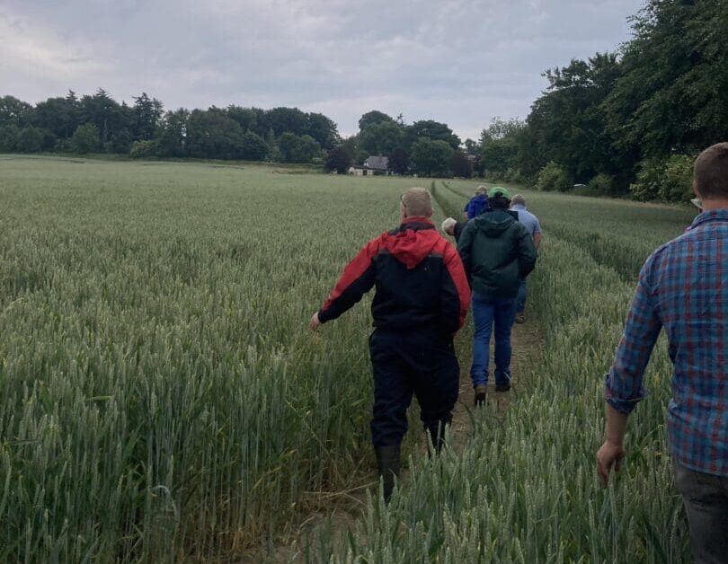 Transitioning to Biological Farming