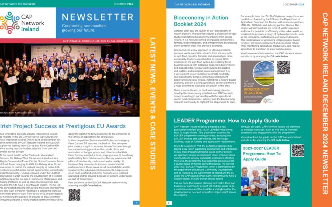 CAP Network Ireland Newsletter Dec ’24
