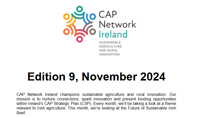 CAP Network E-Bulletin November 2024