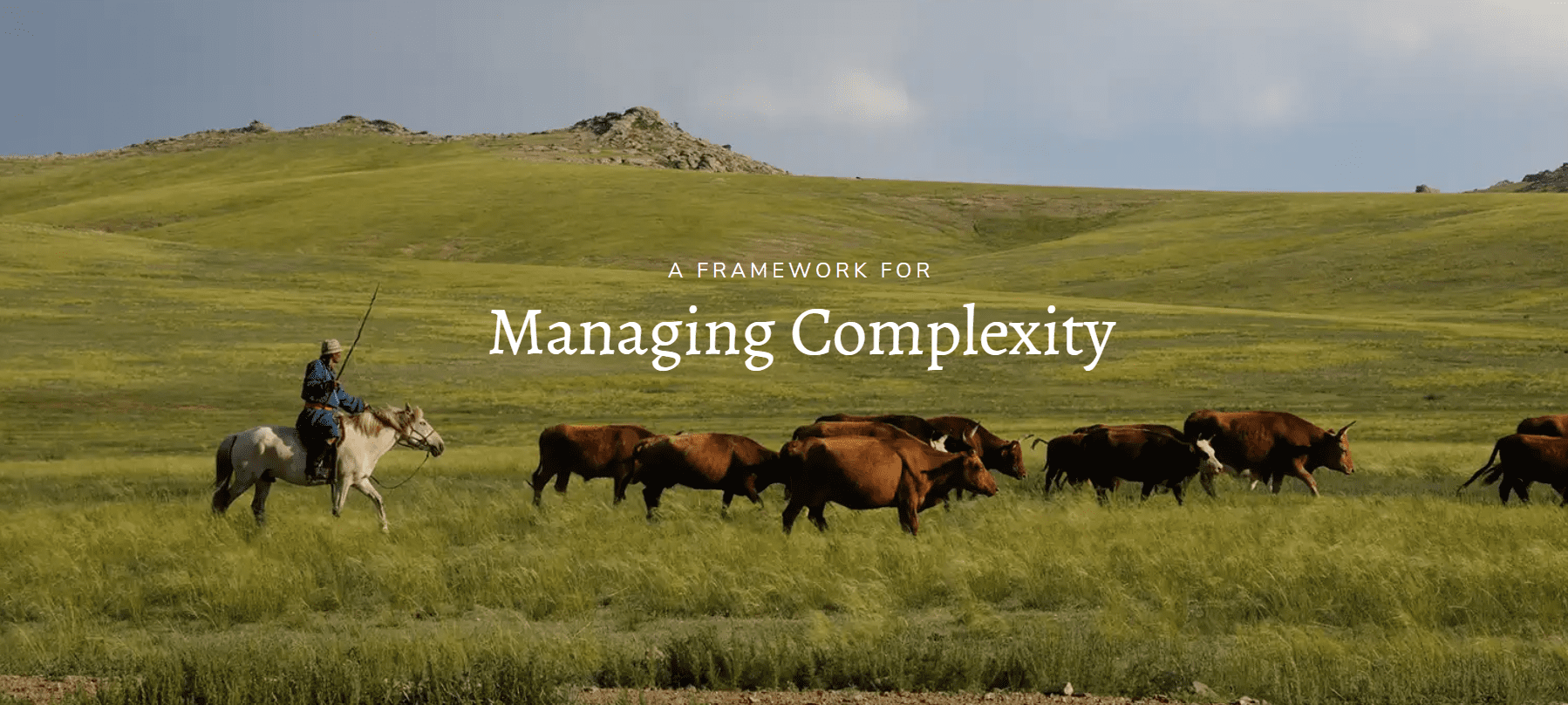 Framework for Holistic Management Decision Making