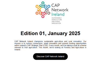CAP Network E-Bulletin January 2025