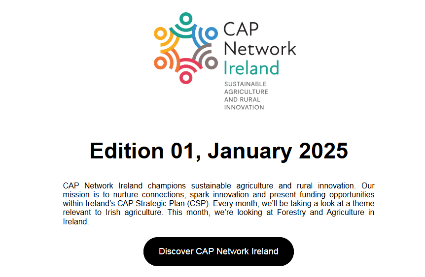 CAP Network E-Bulletin January 2025
