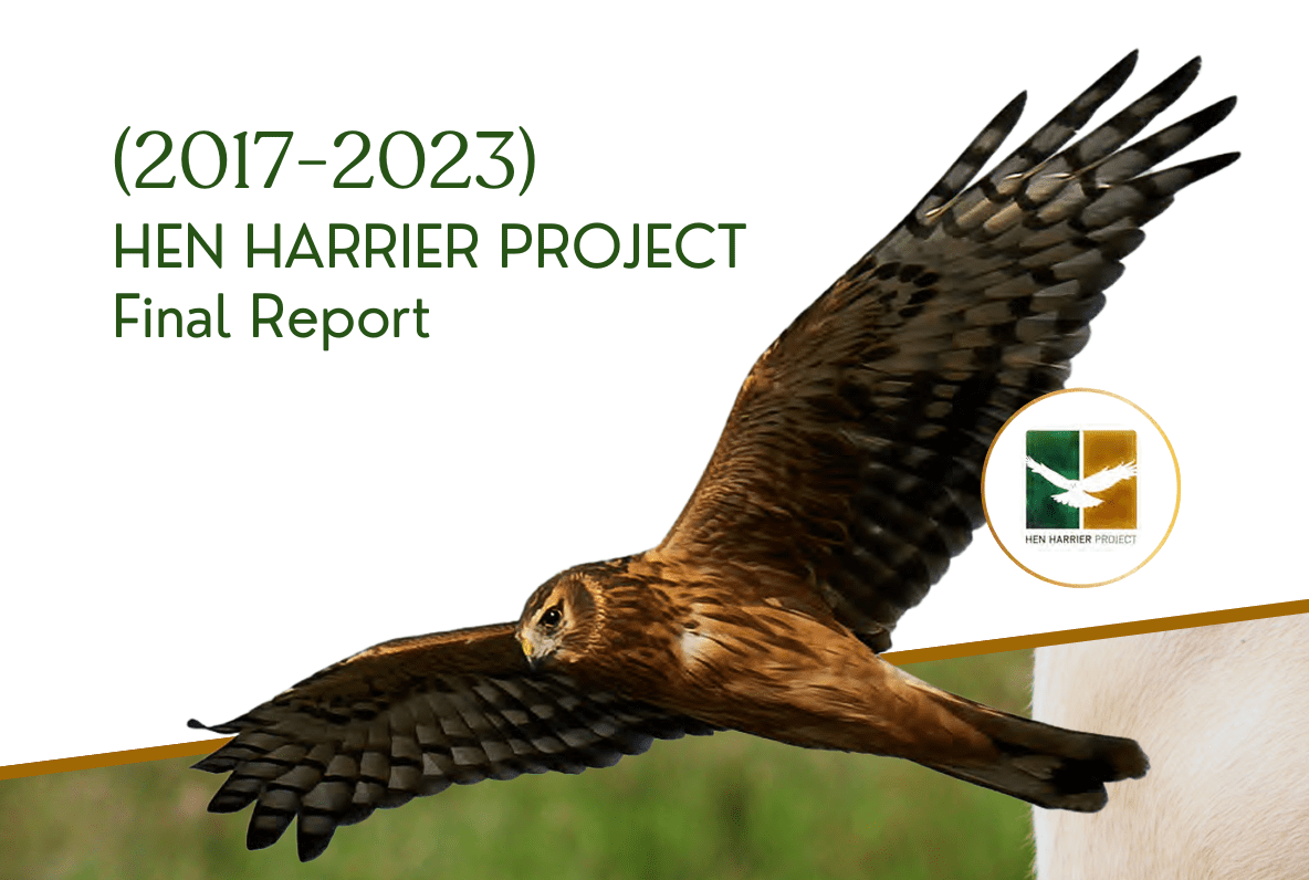 Hen Harrier Project Final Report Now Available