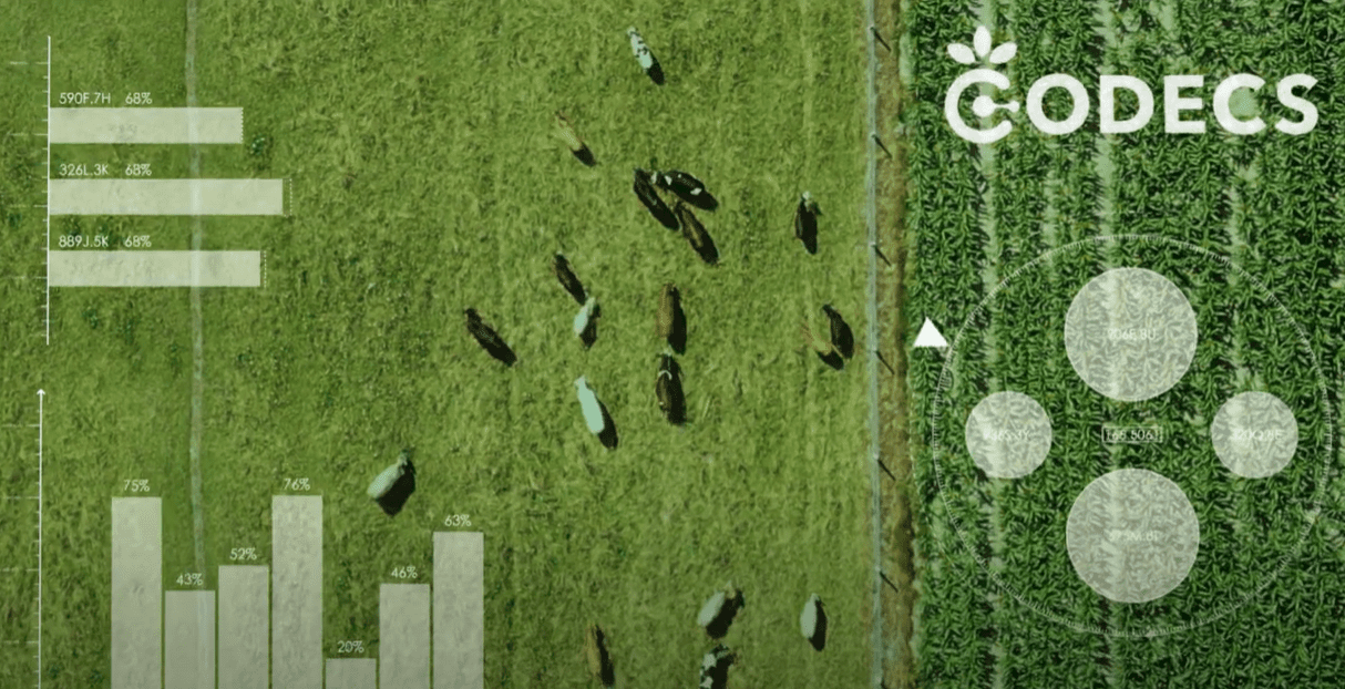 CODECS Project