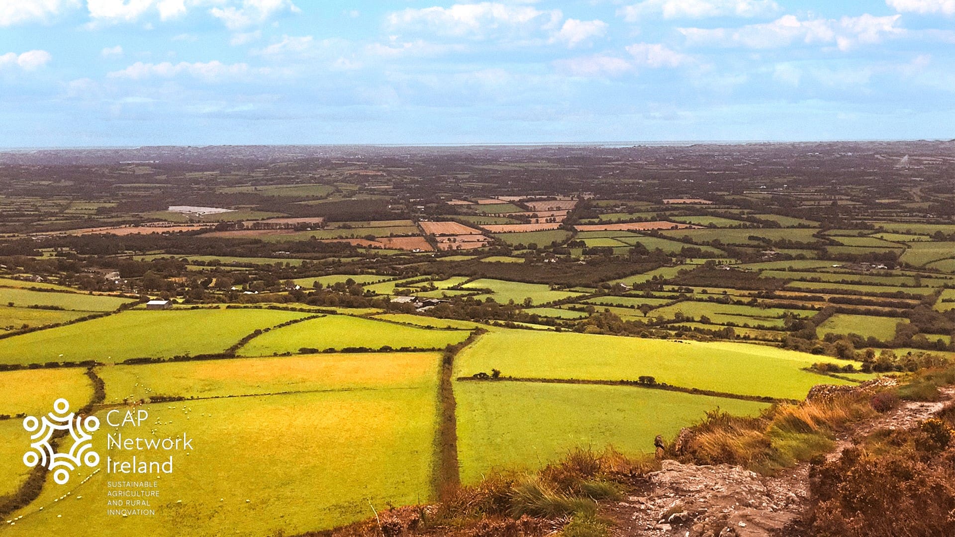 CAP Network Ireland-597