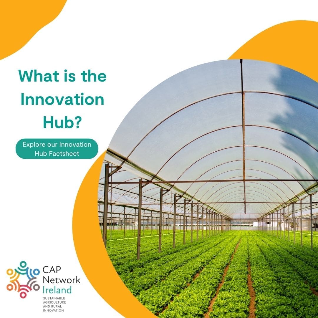 Innovation Hub Factsheet