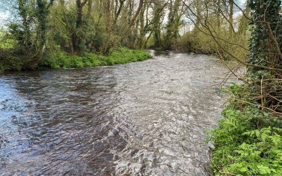 Year 2 of Waters of LIFE