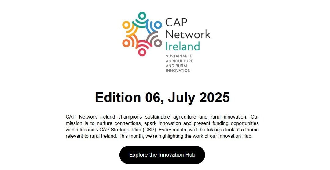 CAP Network E-Bulletin July 2025