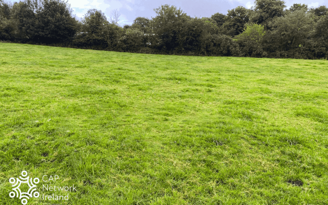 Trial Shows Positive Returns of Transitioning to Biological Farming