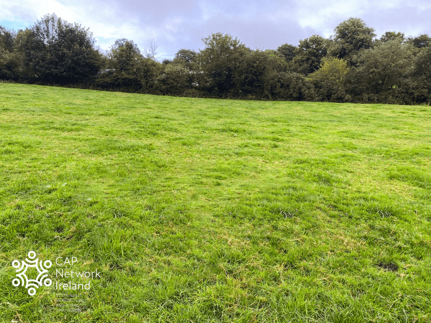 Biological Farming