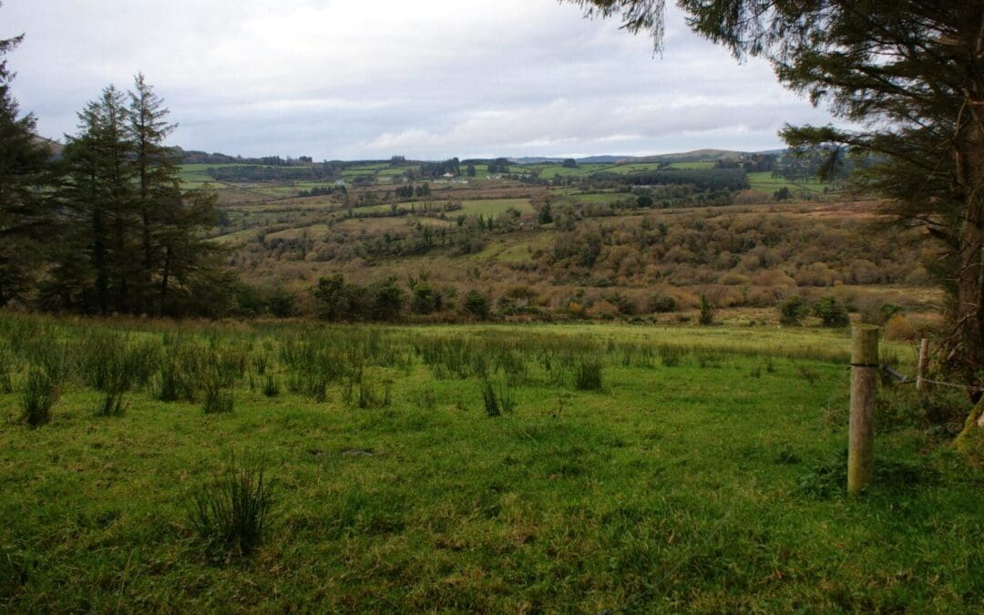 Application Window for ACRES CP NPI’s Now Open